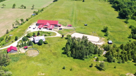 Ranch / Acreage / Farm / Home-Based Business Potential / House For Sale in Proton Station, ON - 3+1 bdrm, 3 bath (773367 HWY 10)