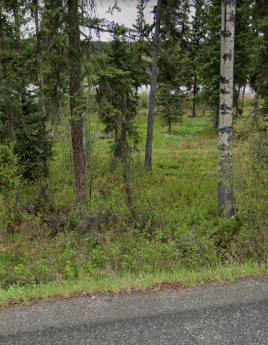 Waterfront Property For Sale in Lone Butte, British Columbia - 0 bdrm, 0 bath (Lot 8, Horse Lake Road)