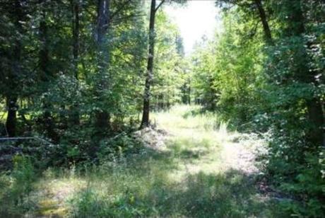 Vacant Land / Acreage / Golf Course View / Quarry / Recreational Property For Sale in McNab, ON - 0 bdrm, 0 bath (1231 River Road)