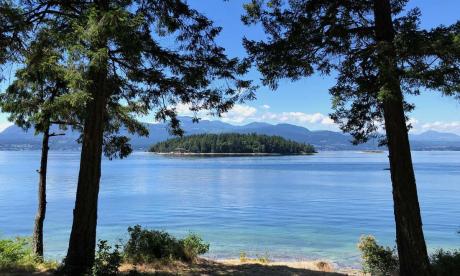 Waterfront Property / Acreage / Cottage / Recreational Property For Sale on Thetis Island, BC - 3 bdrm, 1 bath (13 Foster Point Rd)
