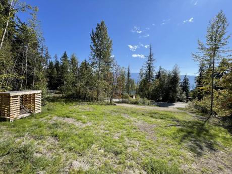Vacant Land For Sale in Anglemont, BC - 0 bdrm, 0 bath (7455 Stampede Trail)