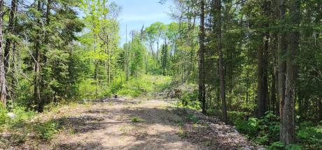 Vacant Land / Acreage For Sale in Corbeil, ON - 0 bdrm, 0 bath (One mile rd)