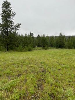 Vacant Land For Sale in 70 Mile House, BC - 0 bdrm, 0 bath (6656 Rayfield Road)