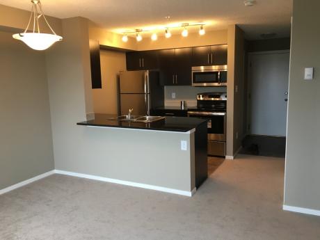 Apartment / Condo For Sale in St. Albert, AB - 2 bdrm, 1 bath (310, 25 Element Dr N)