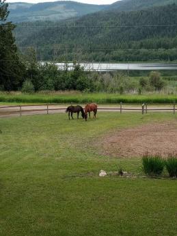 Acreage / Farm / House / Waterfront Acreage / Waterfront Property For Sale in Chase, BC - 3 bdrm, 2 bath (8661 Skimikin Road)