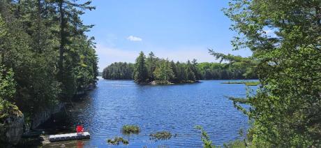 Vacant Land / Waterfront Property For Sale in McKellar, ON - 0 bdrm, 0 bath (Lot 26 Fox Farm Road)